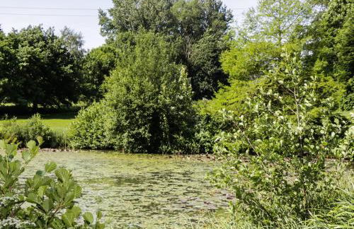 Apple Tree Lodge - Foto 21