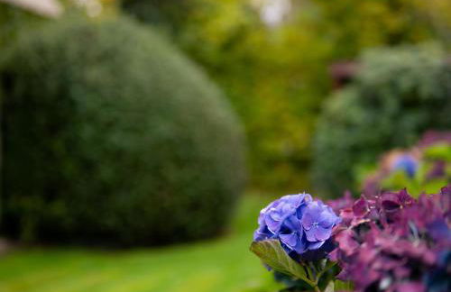 Ferienhaus Deich Huus - Foto 10