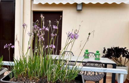 Apartamento La Calma - Foto 21