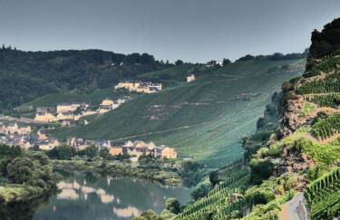 Mosel Palais - Foto 48