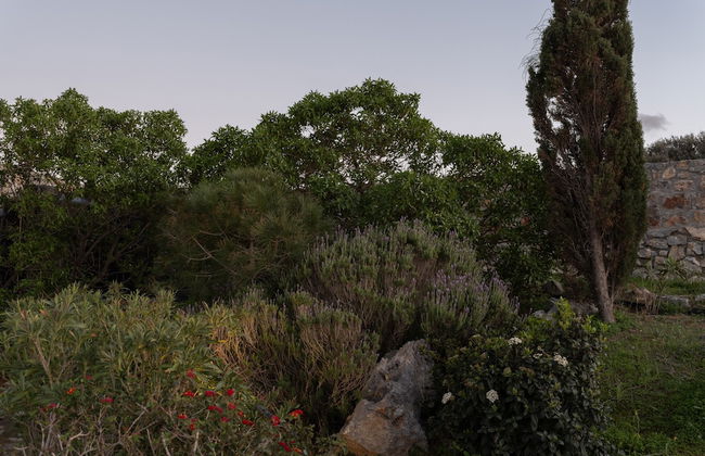 Terra Della Salvia - Photo 47