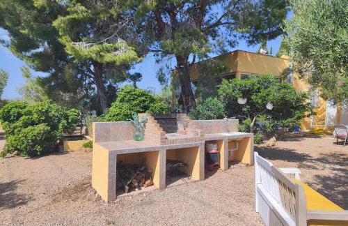 Lo Racó de Peret - Foto 7