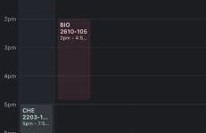 The Pine House - Foto 39