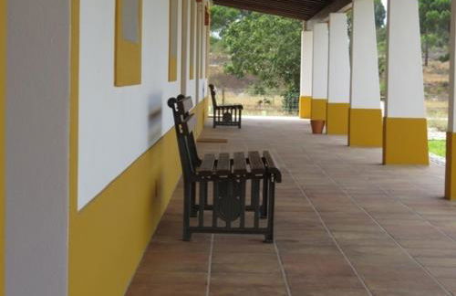 Monte do Brejinho de Água - Foto 41