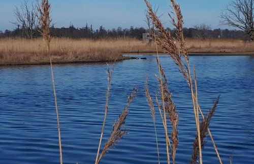 Terrassen-Fewo 'Ankerplatz' direkt am Ostseestrand - Foto 37