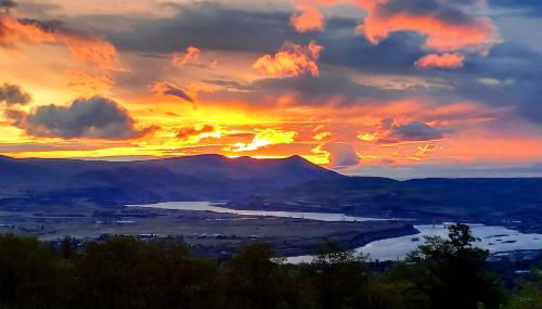 Cherry Heights - Foto 5