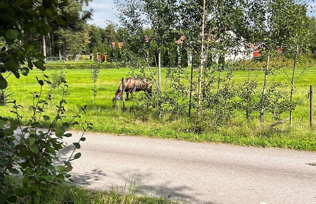 8 Person Holiday Home in Hova - Foto 33