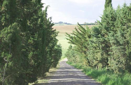 Residence Giuly Rosselmini - Foto 35