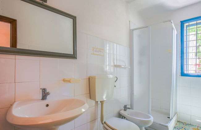 Fattoria Petraglia - Cedro - Foto 13