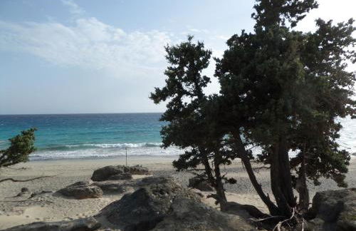 Endless Blue - Foto 39