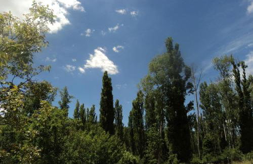 El Horno de Leopoldo - Foto 45