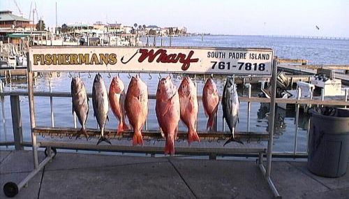 Short Walk to Beach 1 - Foto 5