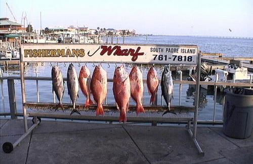 Short Walk to Beach 1 - Foto 5