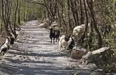 Villa ZORA, Starigrad Paklenica, Seline - Foto 7