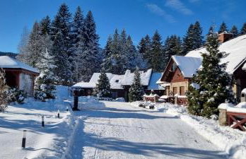 Ośrodek Wczasowy Na Borach - Foto 3