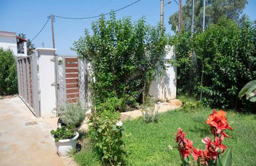 Lollas Apartments Acharavi Corfu - Foto 42