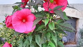 Domaine de Croix en Sologne - Foto 2