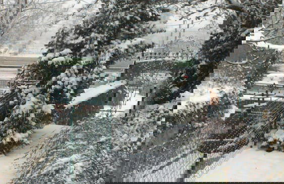 Sobieski Apartments Vienna - Foto 43