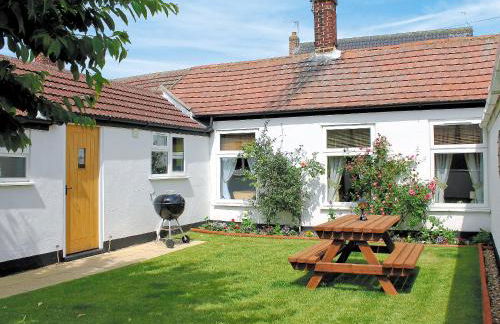 Little Tern - Foto 1