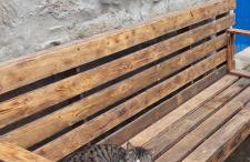 Cantinho da Inês Alojamento Local - Foto 15