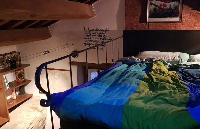 Alla Battuta - Foto 8