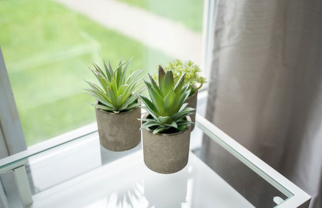 Windsor Manor - Foto 41