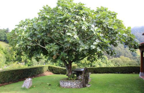 La Quintana Sinariega - Photo 1