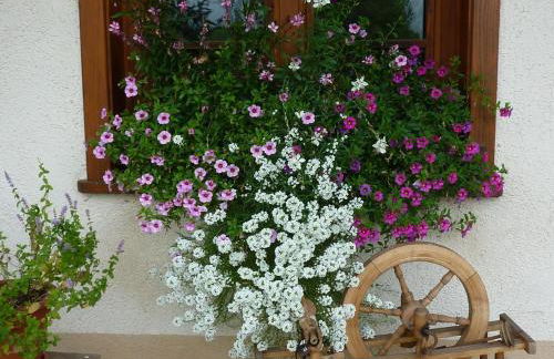 Biobetrieb Lippenhof - Foto 10