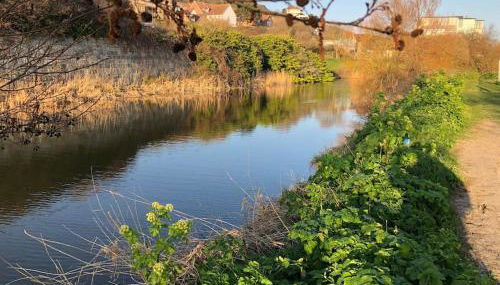 Restful and Cosy 4 Bed Home Minutes from the Beach - Foto 5