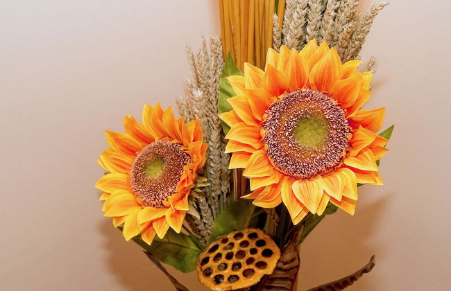 Apartamentos Rurales la Vera - Photo 11