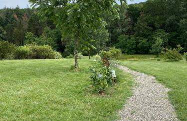 Logement entier de charme, gite équestre GERS Flamarens - Foto 37