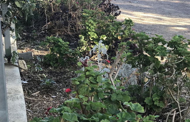 Padthaway Caravan Park - Foto 30