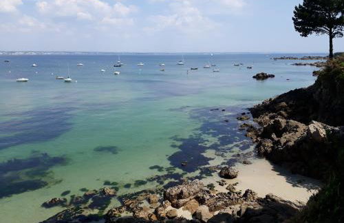 appartement bord de mer - Foto 22