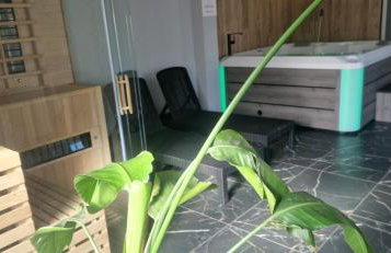 Apartament Słoneczna Dolina SPA Belle View - Foto 9