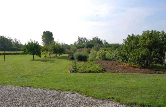 Agriturismo La Biandrina - Foto 50