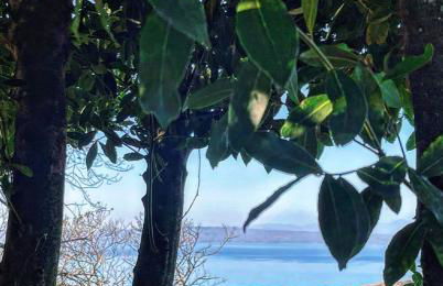 Un Giardino sul Lago - Foto 15