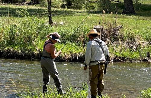 Cozy Rustic Cabin with Riverside Patio on the Pecos River – Pecos, New Mexico - Foto 5
