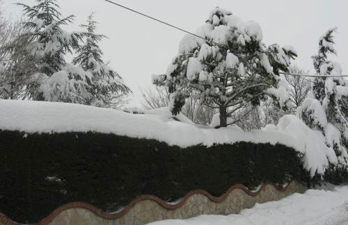 Parco Sogni d'Oro - Photo 45