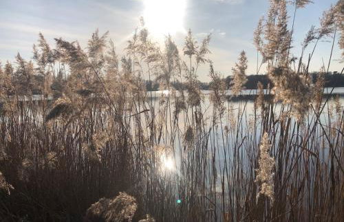 Ferienwohnung Irma - Foto 18