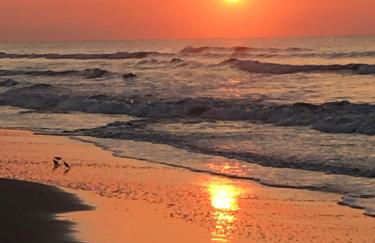 The Dock House - Foto 34