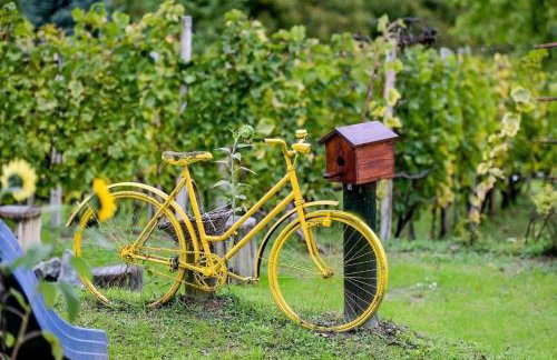 Kuća za odmor Briška - Foto 47