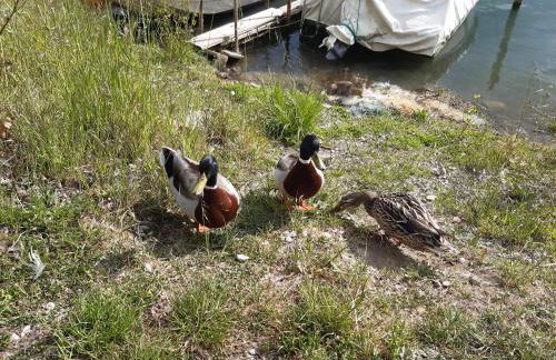 Le Rondini - Photo 31