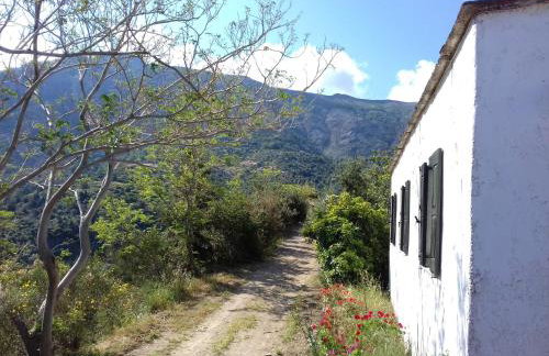 Ikarian Centre - Accommodation & mountain hiking - Photo 32