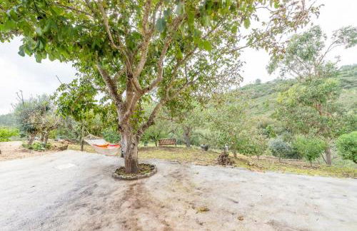 Countryside paradise in Bucelas - Photo 34