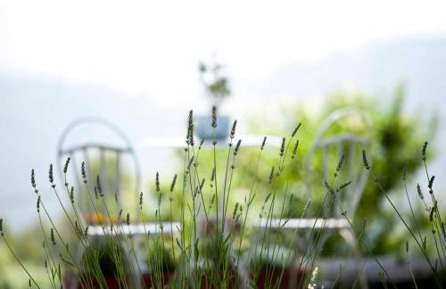 La Casa de la Abuela Milagros - Photo 34