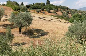 Tenuta Colle Sala The Villa - Photo 33