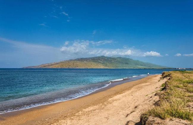 Calming Coastal Vistas - Photo 71