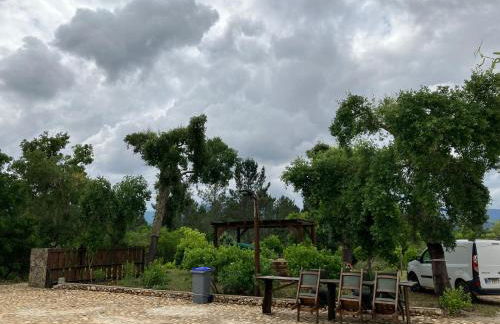 Quinta da Meda - Foto 40