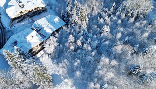 Le lodge de l alpage - Ski in ski out - 2 chambres 1 cabine - Foto 5