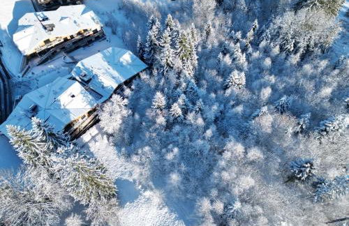 Le lodge de l alpage - Ski in ski out - 2 chambres 1 cabine - Foto 5